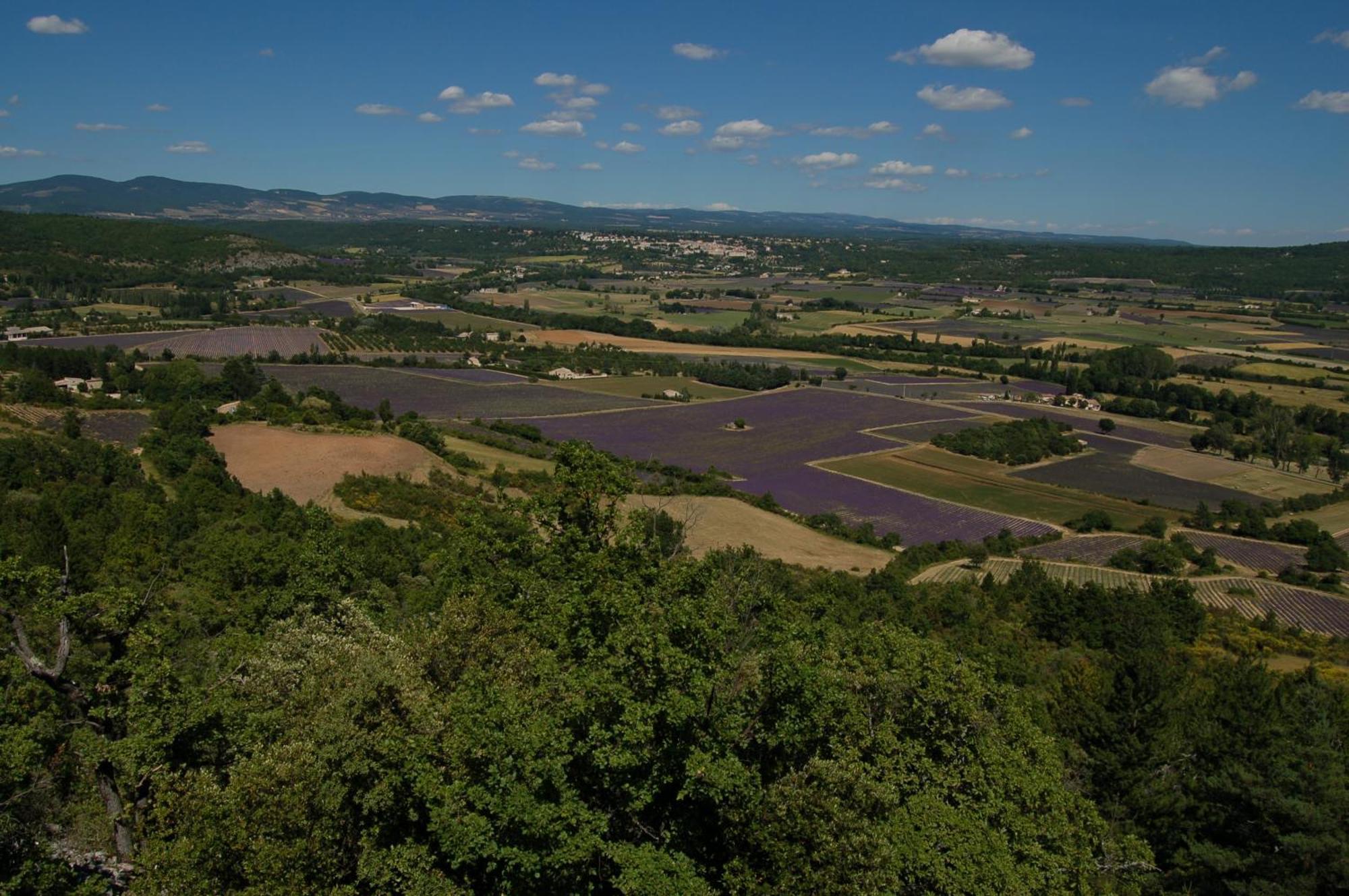 Le Gite De Lolivier En Provence Aramon Exteriör bild