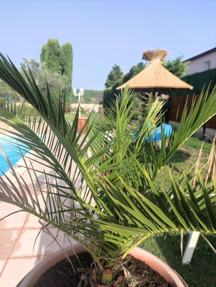 Le Gite De Lolivier En Provence Aramon Exteriör bild