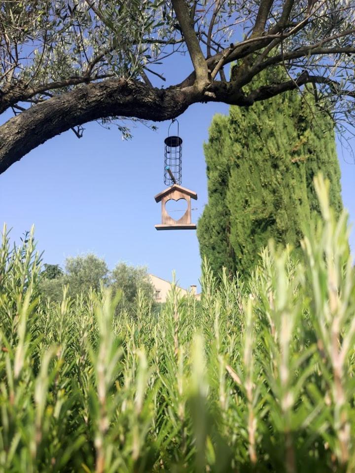 Le Gite De Lolivier En Provence Aramon Exteriör bild