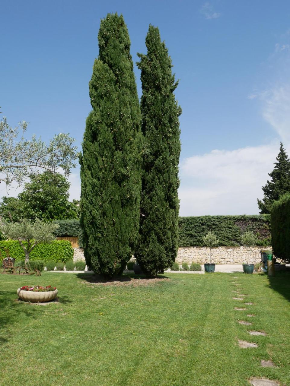 Le Gite De Lolivier En Provence Aramon Exteriör bild
