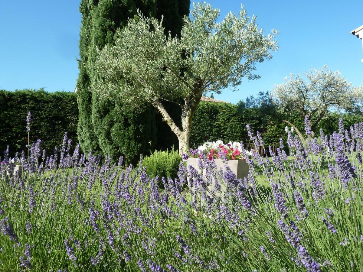 Le Gite De Lolivier En Provence Villa Aramon Exteriör bild